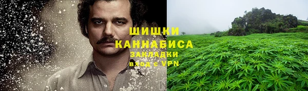 трава Бронницы