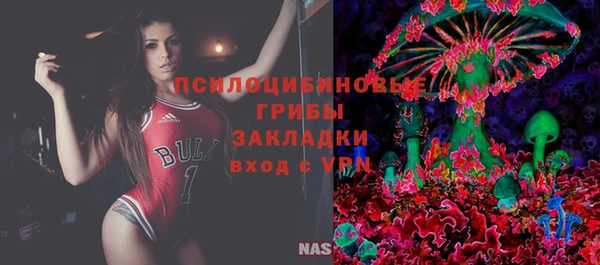 скорость Бородино