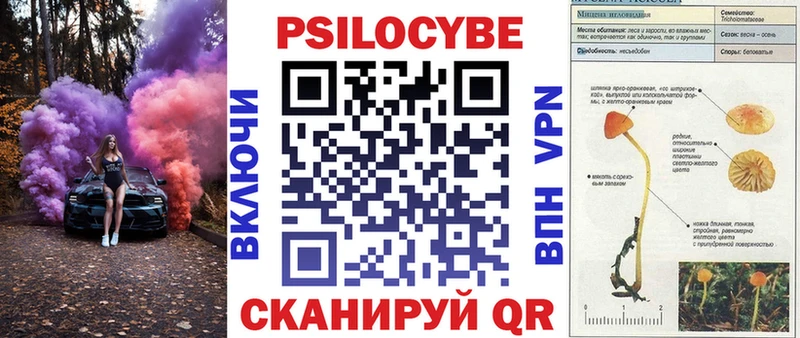 kraken маркетплейс  Кувандык  Псилоцибиновые грибы Magic Shrooms 