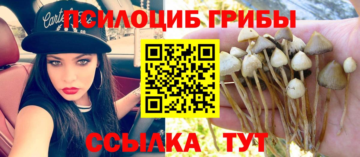 Псилоцибиновые грибы мицелий Кувандык