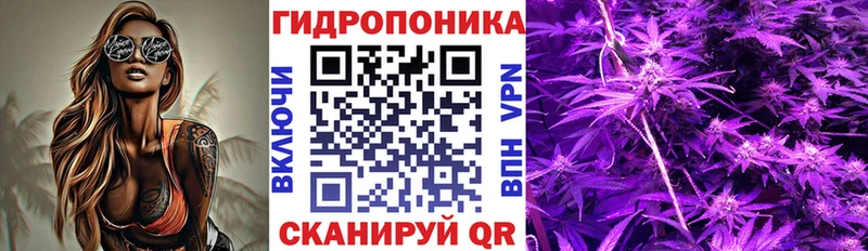 darknet как зайти купить наркотик Кувандык МАРИХУАНА индика